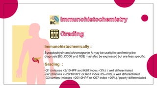Immunohistochemically :
Synaptophysin and chromogranin A may be useful in confirming the
diagnosis383; CD56 and NSE may also be expressed but are less specific.
Grading :
-G1 (mitoses <2/10HPF and Ki67 index <3%) / well differentiated
-G2 (mitoses 2–20/10/HPF or Ki67 index 3%–20%) / well differentiated
-G3 tumors (mitoses >20/10HPF or Ki67 index >20%) / poorly differentiated
 