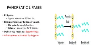 GASTROINTESTINAL SYSTEM. Pancreatic physiology .pdf