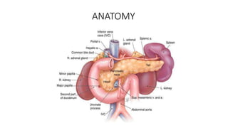 ANATOMY
 