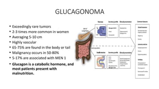 GLUCAGONOMA
• Exceedingly rare tumors
• 2-3 times more common in women
• Averaging 5-10 cm
• Highly vascular
• 65-75% are found in the body or tail
• Malignancy occurs in 50-80%
• 5-17% are associated with MEN 1
• Glucagon is a catabolic hormone, and
most patients present with
malnutrition.
 