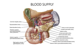 BLOOD SUPPLY
 