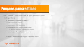 Funções pancreáticas
» fPL= Spec fPL = imunorreatividade da lipase pancreática felina =
teste quantitativo
» Sensibilidade 79% e especificidade 82%
» Pode levar mais de 24 horas
» concentrações> 5,3 = pancreatite
» concentrações entre 3,5 e 5,3 = zona cinzenta
» Repensar diagnósticos ou repetir em 2-3 semanas
» Concentrações ≤3,5 μg/L = gatos saudaveis
» Fibrose e atrofia não liberam a enzima = pancreatite crônica
 