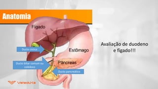 Anatomia
Ducto cistico
Ducto biliar comum ou
colédoco
Ducto pancreático
Avaliação de duodeno
e fígado!!!
 