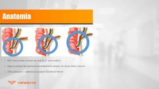 Anatomia
» 80% ducto biliar comum se une ao D. pancreático
» Alguns podem ter abertura imediatamente abaixo do ducto biliar comum
» 20% possuem + abertura na papila duodenal menor
 