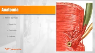 Anatomia
» Motivo da tríade
» Duodenite
» Pancreatite
» Colangite
 