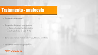 Tratamento - analgesia
» Correlação com anorexia (?)
» Os opióides são os mais recomendados
» Buprenorfina, butorfanol e metadona
» Morfina (esfincter de oddi) (?) (X)
» Dores muito intensas: Fentanil, cetamina ou lidocaina em infusão
» Dor crônica: tramadol e/ou gabapentina
 