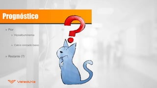 Prognóstico
» Pior
» Hipoalbuminemia
» Calcio ionizado baixo
» Restante (?)
 