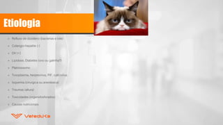 Etiologia
» Refluxo de duodeno (bacterias e bile)
» Colangio-hepatite (-)
» DII (+)
» Lipidose, Diabetes (ovo ou galinha?)
» Platinossomo
» Toxoplasma, herpesvirus, PIF, calicivirus
» Isquemia (cirurgica ou anestesica)
» Traumas (altura)
» Toxicidades (organofosforados)
» Causas nutricionais
 