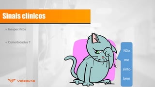 Sinais clínicos
» Inespecíficos
» Comorbidades ?
Não
me
sinto
bem
 