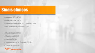 Sinais clínicos
» Anorexia (63 a 97%)
» Letargia (26 a 100%)
» Vômito/Nausea (35-61%) Diarreia (15%)
» Dor abdominal (25%) só ? ? ? ?
» Desidratação (92%)
» Hipotermia (68%)
» Icterícia (64%)
» Taquipneia ( 74%) Dispneia (20%)
» Taquicardia (48%)
 