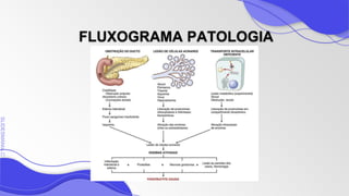 SLIDESMANIA
SLIDESMANIA.C
FLUXOGRAMA PATOLOGIA
 
