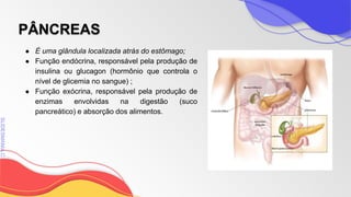SLIDESMANIA
SLIDESMANIA.C
PÂNCREAS
● É uma glândula localizada atrás do estômago;
● Função endócrina, responsável pela produção de
insulina ou glucagon (hormônio que controla o
nível de glicemia no sangue) ;
● Função exócrina, responsável pela produção de
enzimas envolvidas na digestão (suco
pancreático) e absorção dos alimentos.
 