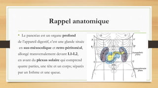 Rappel anatomique
• Le pancréas est un organe profond
de l’appareil digestif, c’est une glande située
en sus-mésocolique et retro péritonéal,
allongé transversalement devant L1-L2,
en avant du plexus solaire qui comprend
quatre parties, une tête et un corps; séparés
par un Isthme et une queue.
 