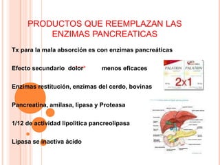 PRODUCTOS QUE REEMPLAZAN LAS ENZIMAS PANCREATICASTx para la mala absorción es con enzimas pancreáticasEfecto secundario  dolor           menos eficacesEnzimas restitución, enzimas del cerdo, bovinasPancreatina, amilasa, lipasa y Proteasa1/12 de actividad lipolitica pancreolipasaLipasa se inactiva ácido
