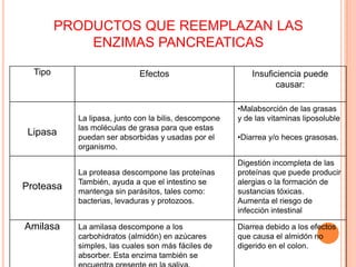 PRODUCTOS QUE REEMPLAZAN LAS ENZIMAS PANCREATICAS