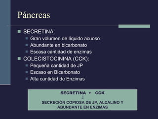 Páncreas SECRETINA:  Gran volumen de líquido acuoso Abundante en bicarbonato Escasa cantidad de enzimas COLECISTOCININA (CCK):  Pequeña cantidad de JP Escaso en Bicarbonato Alta cantidad de Enzimas SECRETINA  +  CCK  SECRECIÓN COPIOSA DE JP, ALCALINO Y ABUNDANTE EN ENZIMAS 