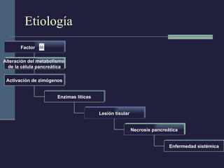 Etiología Factor  Alteración del metabolismo  de la célula pancreática Activación de zimógenos Enzimas líticas Lesión tisular Necrosis pancreática Enfermedad sistémica 