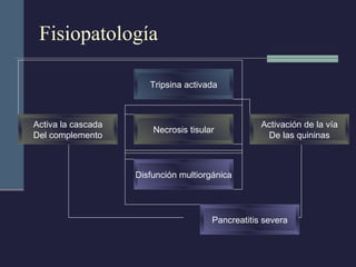 Fisiopatología Tripsina activada Activa la cascada Del complemento Necrosis tisular Activación de la vía De las quininas Disfunción multiorgánica Pancreatitis severa 