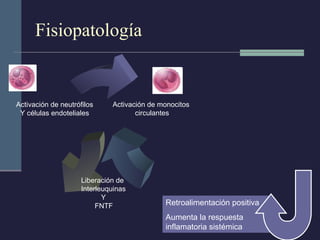 Fisiopatología Retroalimentación positiva Aumenta la respuesta inflamatoria sistémica Activación de monocitos  circulantes Liberación de  Interleuquinas Y FNT  Activación de neutrófilos Y células endoteliales 