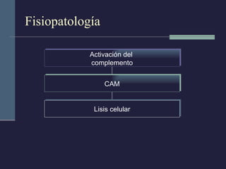 Fisiopatología Activación del  complemento CAM Lisis celular 