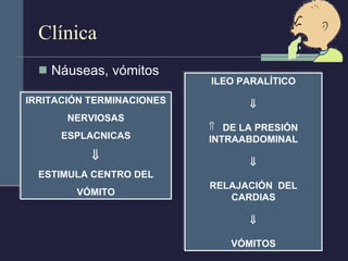 Clínica Náuseas, vómitos IRRITACIÓN TERMINACIONES NERVIOSAS ESPLACNICAS  ESTIMULA CENTRO DEL VÓMITO ILEO PARALÍTICO  DE LA PRESIÓN INTRAABDOMINAL  RELAJACIÓN  DEL CARDIAS  VÓMITOS 