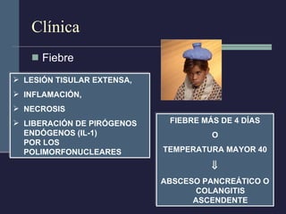 Clínica Fiebre LESIÓN TISULAR EXTENSA, INFLAMACIÓN, NECROSIS  LIBERACIÓN DE PIRÓGENOS ENDÓGENOS (IL-1)  POR LOS POLIMORFONUCLEARES FIEBRE MÁS DE 4 DÍAS O TEMPERATURA MAYOR 40  ABSCESO PANCREÁTICO O COLANGITIS ASCENDENTE 
