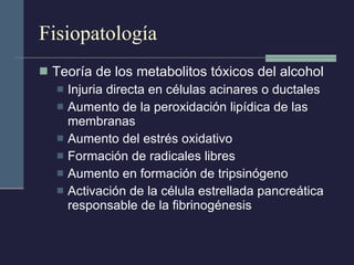 Fisiopatología Teoría de los metabolitos tóxicos del alcohol Injuria directa en células acinares o ductales Aumento de la peroxidación lipídica de las membranas Aumento del estrés oxidativo Formación de radicales libres Aumento en formación de tripsinógeno Activación de la célula estrellada pancreática responsable de la fibrinogénesis 