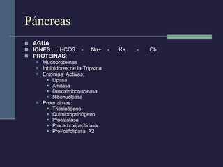 Páncreas AGUA IONES :  HCO3  -  Na+  -  K+  -  Cl- PROTEINAS :  Mucoproteinas Inhibidores de la Tripsina Enzimas  Activas:  Lipasa Amilasa Desoxirribonucleasa Ribonucleasa Proenzimas:  Tripsinógeno Quimiotripsinógeno Proelastasa Procarboxipeptidasa ProFosfolipasa  A2 