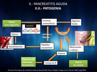 II.- PANCREATITIS AGUDA
                                    II.II.- PATOGENIA


                                                Enzimas                                Digieren
   Teoria
                                                proteolíticas                          tejido
Auto digestión             alcohol

                                                                      activan
       Edema                                    Activan y
                                                liberan


                                              Péptidos
   Vasodilatación                             vasoactivos                           Obstrucción
                                                                                    o reflujo
                                                                    tripsina

                     Hipótesis de
                     hidrolasas                    Catepsina B                            Teoría
                     lisosomicas                                                        vía común

   Harrison Principios de medicina interna, Braunwald, Fauci, Kasper, Longo, et al. 5ta ed, 2002, pag 2095
 