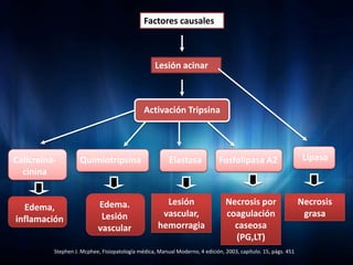 Factores causales



                                                   Lesión acinar



                                              Activación Tripsina




Calicreína-         Quimiotripsina                      Elastasa             Fosfolipasa A2                     Lipasa
  cinina


                           Edema.                     Lesión                   Necrosis por                    Necrosis
  Edema,
                            Lesión                   vascular,                 coagulación                      grasa
inflamación
                           vascular                 hemorragia                   caseosa
                                                                                 (PG,LT)
          Stephen J. Mcphee, Fisiopatología médica, Manual Moderno, 4 edición, 2003, capítulo. 15, págs. 451
 