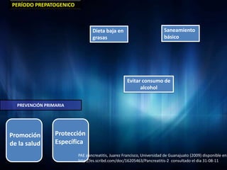 PERÍODO PREPATOGENICO



                               Dieta baja en                           Saneamiento
                               grasas                                  básico




                                                   Evitar consumo de
                                                         alcohol


  PREVENCIÓN PRIMARIA




Promoción        Protección
de la salud      Específica
                        PAE pancreatitis, Juarez Francisco, Universidad de Guanajuato (2009) disponible en:
                        http://es.scribd.com/doc/16205463/Pancreatitis-2 consultado el dia 31-08-11
 