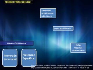 PERÍODO PREPATOGENICO


                                     Deteccion
                                     oportuna de
                                     adicciones




                                                      Dieta equilibrada




  PREVENCIÓN PRIMARIA
                                                                                   Evitar
                                                                                 traumas
                                                                               abdominales

Promoción        Protección
de la salud      Específica

                        PAE pancreatitis, Juarez Francisco, Universidad de Guanajuato (2009) disponible en:
                        http://es.scribd.com/doc/16205463/Pancreatitis-2 consultado el dia 31-08-11
 