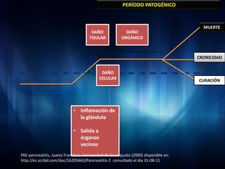 PERÍODO PATOGÉNICO


                                                                                        MUERTE
                                       DAÑO               DAÑO
                                      TISULAR           ORGÁNICO



                                                                                      CRONICIDAD


                                            DAÑO
                                           CELULAR                                    CURACIÓN




                             • Inflamación de
                               la glándula

                             • Salida a
                               órganos
                               vecinos
PAE pancreatitis, Juarez Francisco, Universidad de Guanajuato (2009) disponible en:
http://es.scribd.com/doc/16205463/Pancreatitis-2 consultado el dia 31-08-11
 