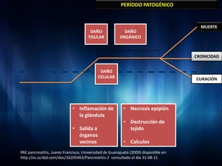 PERÍODO PATOGÉNICO


                                                                                        MUERTE
                                       DAÑO               DAÑO
                                      TISULAR           ORGÁNICO



                                                                                      CRONICIDAD


                                            DAÑO
                                           CELULAR                                    CURACIÓN




                             • Inflamación de             • Necrosis epiplón
                               la glándula
                                                          • Destrucción de
                             • Salida a                     tejido
                               órganos
                               vecinos                    • Calculos
PAE pancreatitis, Juarez Francisco, Universidad de Guanajuato (2009) disponible en:
http://es.scribd.com/doc/16205463/Pancreatitis-2 consultado el dia 31-08-11
 