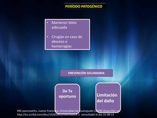 PERÍODO PATOGÉNICO



                       • Mantener dieta
                         adecuada

                       • Cirugías en caso de
                         absceso o
                         hemorragias




                                         PREVENCIÓN SECUNDARIA




                                   Dx Tx
                                 oportuno                      Limitación
                                                               del daño
PAE pancreatitis, Juarez Francisco, Universidad de Guanajuato (2009) disponible en:
http://es.scribd.com/doc/16205463/Pancreatitis-2 consultado el dia 31-08-11
 