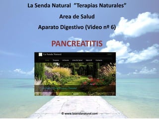La Senda Natural ”Terapias Naturales”
Area de Salud
Aparato Digestivo (Video nº 6)

PANCREATITIS

© www.lasendanatural.com

 