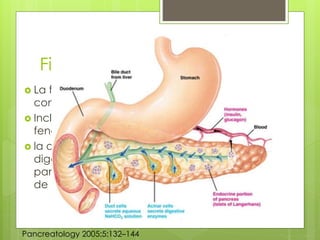 Fisiopatología 
 La fisiopatología de la pancreatitis es 
compleja. 
 Incluye una serie de eventos de 
fenómenos inmunológicos. 
 la activación prematura de enzimas 
digestivas dentro de las células acinares 
pancreáticas conduce a la autodigestión 
de páncreas. 
Pancreatology 2005;5:132–144 
 