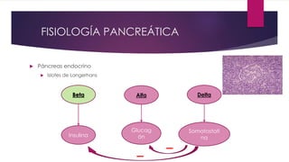 FISIOLOGÍA PANCREÁTICA 
 Páncreas endocrino 
 Islotes de Langerhans 
Beta Alfa Delta 
Insulina 
Glucag 
ón 
Somatostati 
na 
 