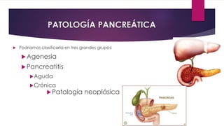 PATOLOGÍA PANCREÁTICA 
 Podríamos clasificarla en tres grandes grupos: 
Agenesia 
Pancreatitis 
Aguda 
Crónica 
Patología neoplásica 
 