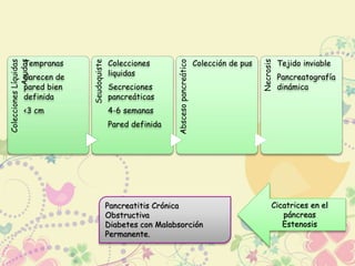 Colecciones Líquidas 
Agudas Tempranas 
Carecen de 
pared bien 
definida 
<3 cm 
Seudoquiste 
Colecciones 
liquidas 
Secreciones 
pancreáticas 
4-6 semanas 
Pared definida 
Absceso pancreático 
Colección de pus 
Necrosis 
Tejido inviable 
Pancreatografía 
dinámica 
Cicatrices en el 
páncreas 
Estenosis 
Pancreatitis Crónica 
Obstructiva 
Diabetes con Malabsorción 
Permanente. 
 