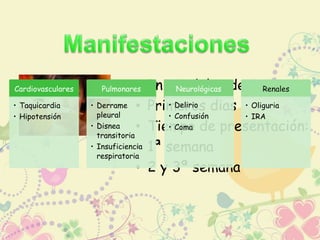 • Inicio del padecimiento 
• Primeros dias 
• Tiempo de presentación: 
• 1ª semana 
• 2 y 3ª semana 
Cardiovasculares 
• Taquicardia 
• Hipotensión 
Pulmonares 
• Derrame 
pleural 
• Disnea 
transitoria 
• Insuficiencia 
respiratoria 
Neurológicas 
• Delirio 
• Confusión 
• Coma 
Renales 
• Oliguria 
• IRA 
 