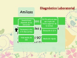 Amilasa 
En PA esta en mas 
Isoamilasa pancreática 
del triple del 
limite superior de 
lo normal. 
Sensibilidad 
depende de su 
elevación 
• Enfermedades pancreáticas 
Permanece alta 
Elevación 6-12 h 
PA= 
3-5 días (orina) 
Sensibilidad Vida media de 
90% 
Medición rápida 
10h 
Especificidad 92% 
 