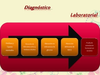 Amilasa y 
Lipasa 
normales 
Elevación de 
bilirrubina sérica y 
fosfatasa alcalina 
Alteración en 
tolerancia a la 
glucosa 
Prueba de 
estimulación 
hormonal con 
secretina 
Absorción 
deficiente de 
VB12 
 