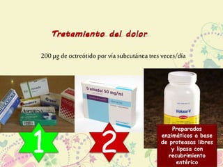 200 μg de octreótido por vía subcutánea tres veces/día 
1 2 Preparados 
enzimáticos a base 
de proteasas libres 
y lipasa con 
recubrimiento 
entérico 
 