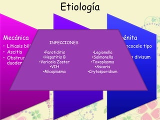Etiología 
Mecánica 
• Litiasis biliar 
• Ascitis 
• Obstrucción 
duodenal 
Tóxicas 
• Alcohol 
• Veneno de 
escorpión 
• Organofosforados 
Congénita 
• Coledococele tipo 
IV 
• Páncreas divisum 
INFECCIONES 
•Parotiditis 
•Hepatitis B 
•Varicela Zoster 
•VIH 
•Micoplasma 
•Legionella 
•Salmonella 
•Toxoplasma 
•Ascaris 
•Crytosporidium 
 
