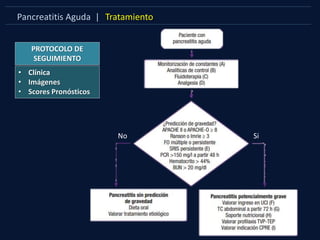 Pancreatitis Aguda | Tratamiento
SiNo
PROTOCOLO DE
SEGUIMIENTO
• Clínica
• Imágenes
• Scores Pronósticos
Si
 