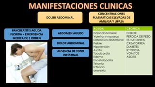 DOLOR ABDOMINAL
CONCENTRACIONES
PLASMATICAS ELEVADAS DE
AMILASA Y LIPASA
PANCREATITIS AGUDA
FLORIDA = EMERGENCIA
MEDICA DE 1 ORDEN
ABDOMEN AGUDO
DOLOR ABDOMINAL
AUSENCIA DE TONO
INTESTINAL
 