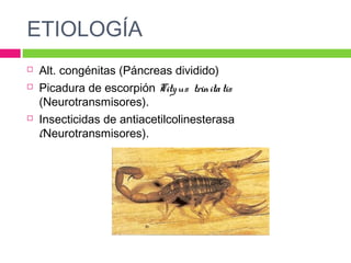 ETIOLOGÍA
 Alt. congénitas (Páncreas dividido)
 Picadura de escorpión Tityus trinitatis
(Neurotransmisores).
 Insecticidas de antiacetilcolinesterasa
(Neurotransmisores).
 