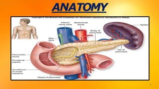 ANATOMY
4
 