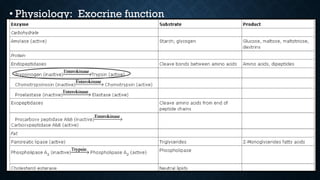 6
• Physiology: Exocrine function
 